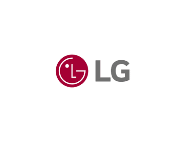 IPO - LG Electronics ltd